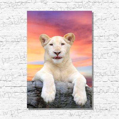 Tablou canvas animale PET107-A