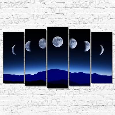 Tablou multicanvas natura NAT505-A