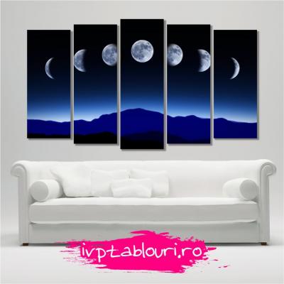 Tablou multicanvas natura NAT505