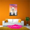 Tablou canvas animale PET107