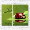 Tablou multicanvas animale PET204-A
