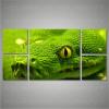 tablou canvas animale PET500
