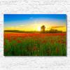 Tablou canvas natura NAT107-A